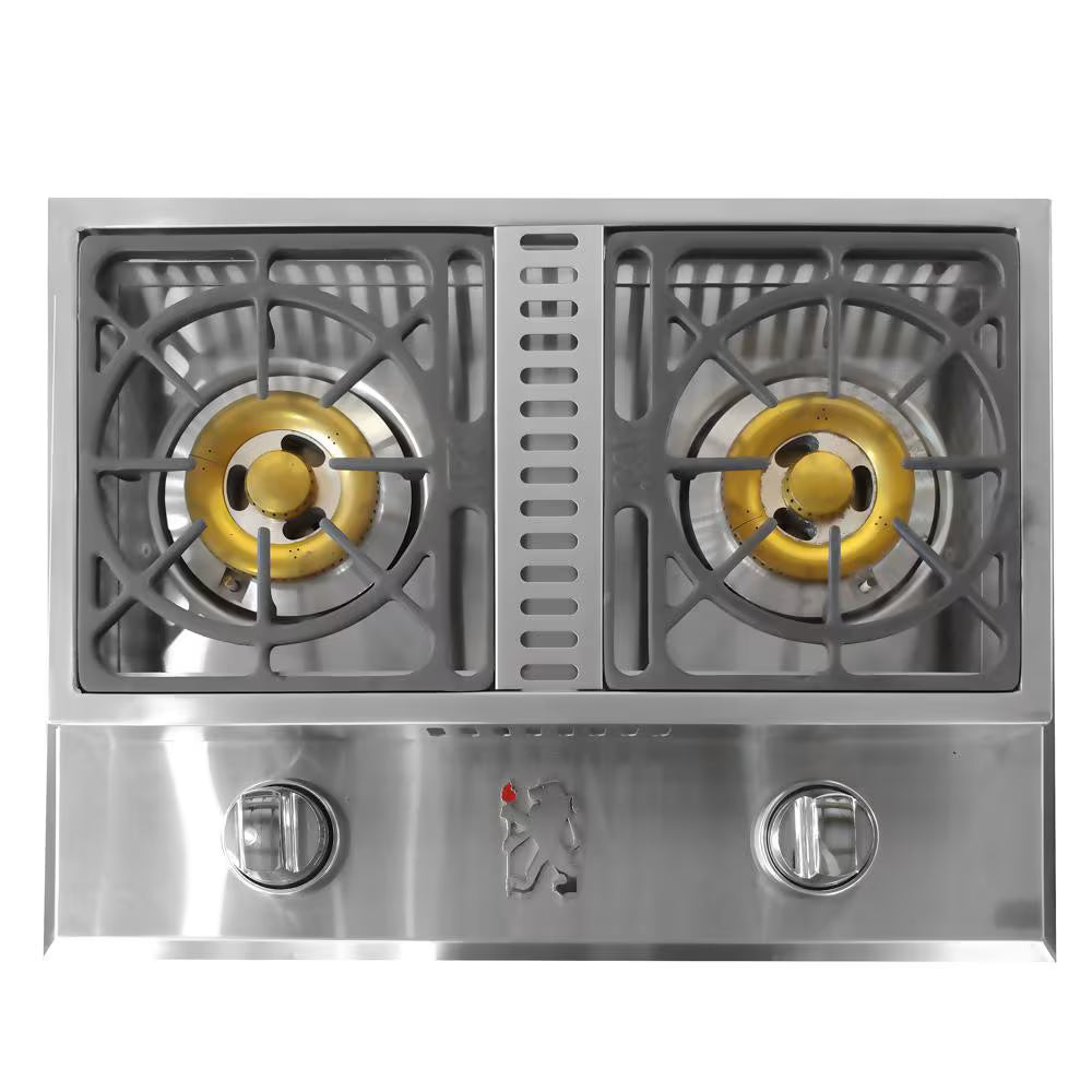 AOG T Series Drop In Double Side Burner